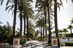 Fiesta OXXO wedding 11