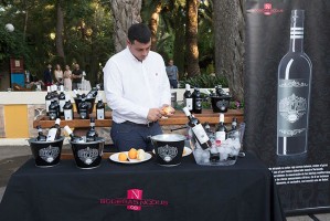 Fiesta OXXO wedding 11