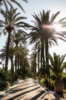 Fiesta OXXO wedding 11