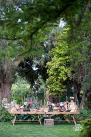 Fiesta Presentacion OXXO Wedding