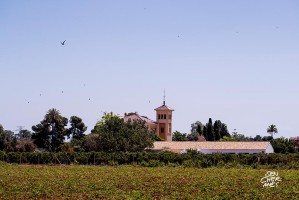 Fiesta Presentacion OXXO Wedding