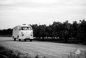 Fiesta Presentacion OXXO Wedding