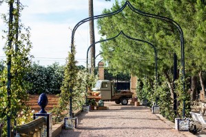 Fiesta Presentacion OXXO Wedding