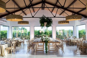 Fiesta Presentacion OXXO Wedding