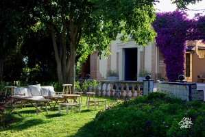 Fiesta Presentacion OXXO Wedding