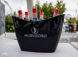 Summer Village Party 2017