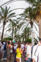 Summer Village Party 2017