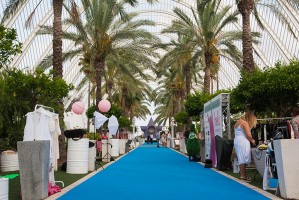 Summer Village Party 2017