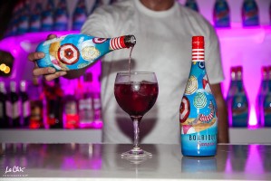 Summer Village Party 2017