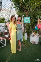 Summer Village Party 2017