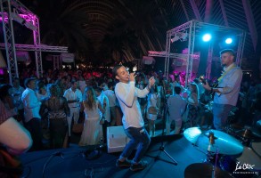 Summer Village Party 2017