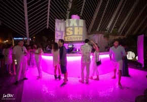 Summer Village Party 2017