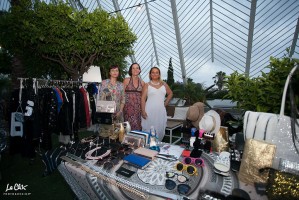 Summer Village Party 2017