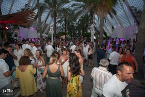 Summer Village Party 2017