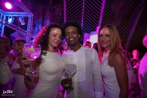 Summer Village Party 2017