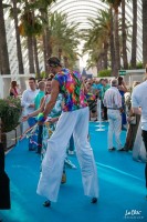 Summer Village Party 2017