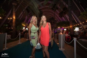 Summer Village Party 2017