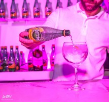 Summer Village Party 2017