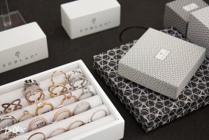 Summer Village Party 2017