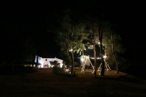 Fiesta OXXO Wedding 10