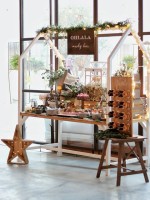 Fiesta OXXO Wedding 10