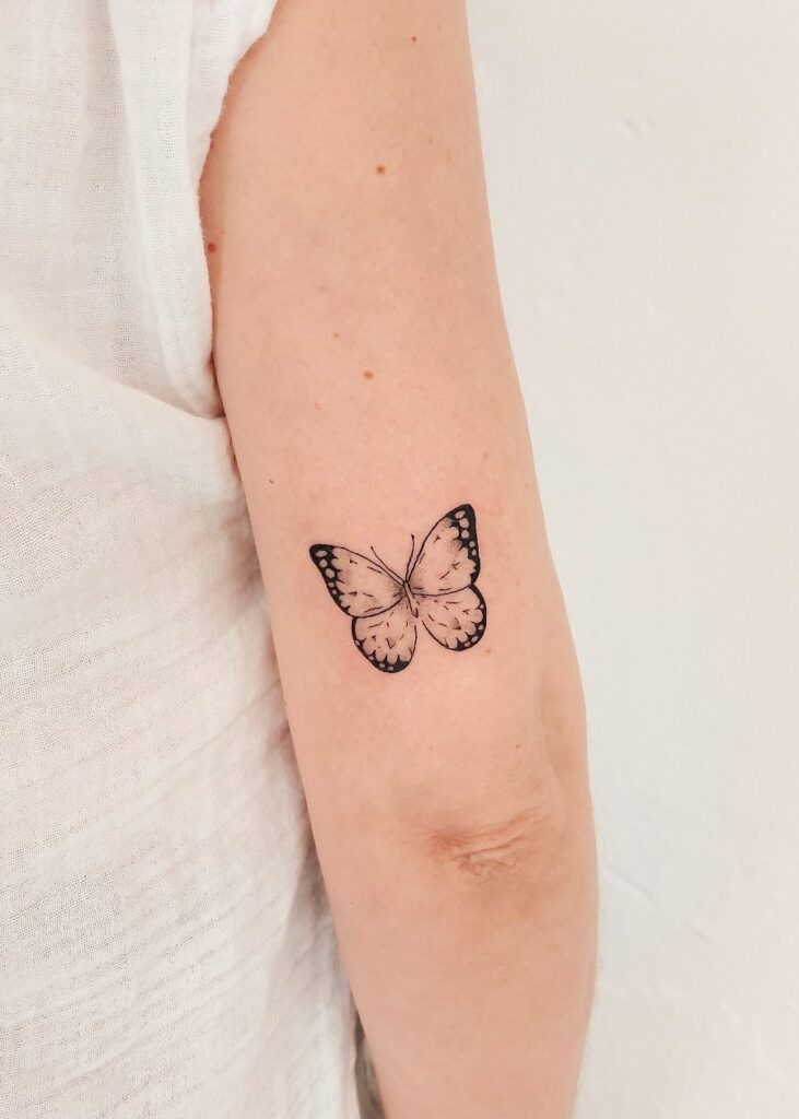 Dalthea y Grisáceos