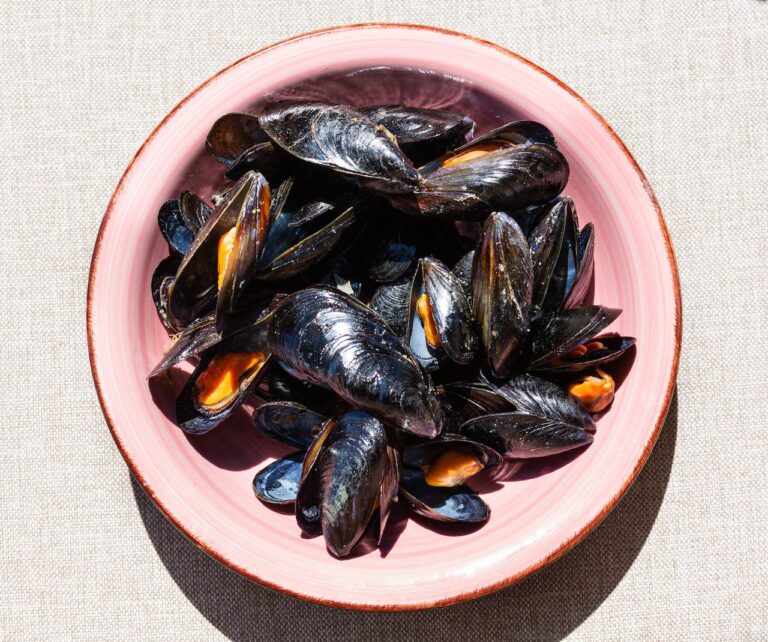 BORAMAR EXCURSION CLOCHINA